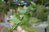 DSC_0056.jpg (45815 bytes)